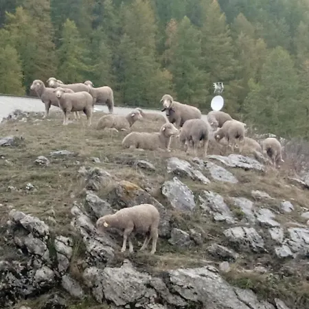Residences De Melisa La Foux D'allos ラ・フー